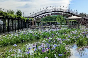 Suigo-Itako Iris Garden image