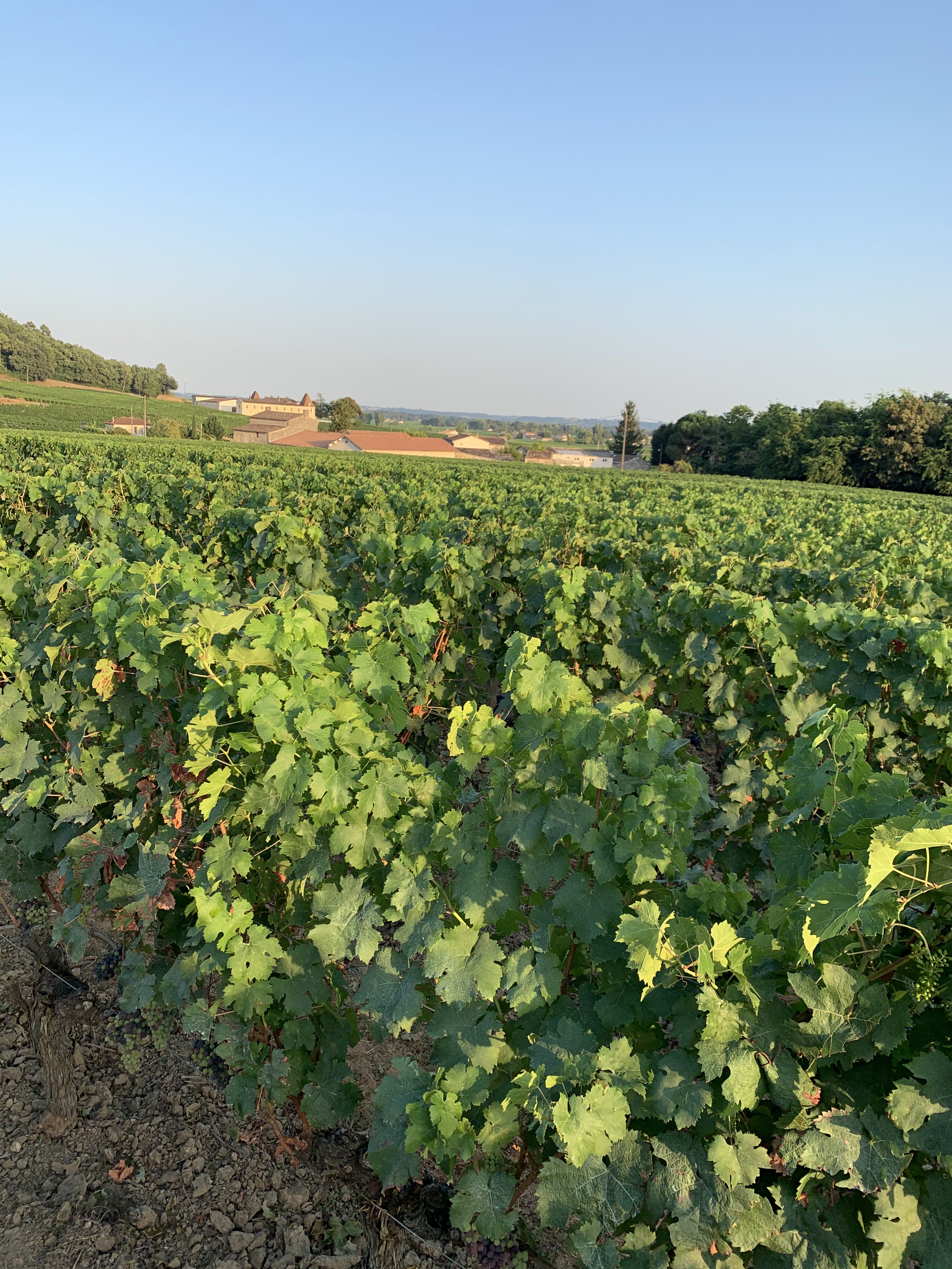 Photo n° 2 de l'avis de Bogdan.i fait le 07/08/2020 à 19:55