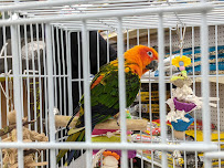 Benson's Pet Center - Photo 4 - Car repair in Albany, NY, Albany