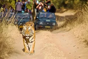 Chikhaldara (semadoh) jungle safari image
