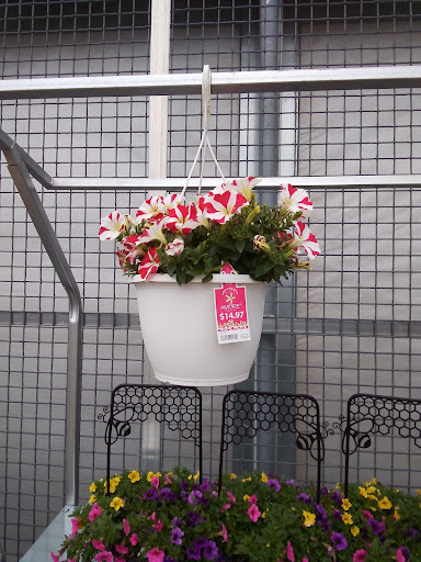 Department Store «Walmart Supercenter», reviews and photos, 555 W Genesee St, Lapeer, MI 48446, USA