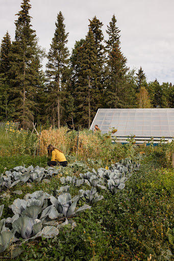 Biodynamic agriculture courses Calgary