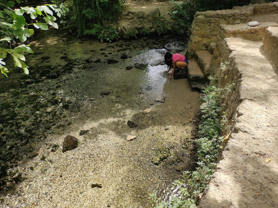 Fuentes del Marqués