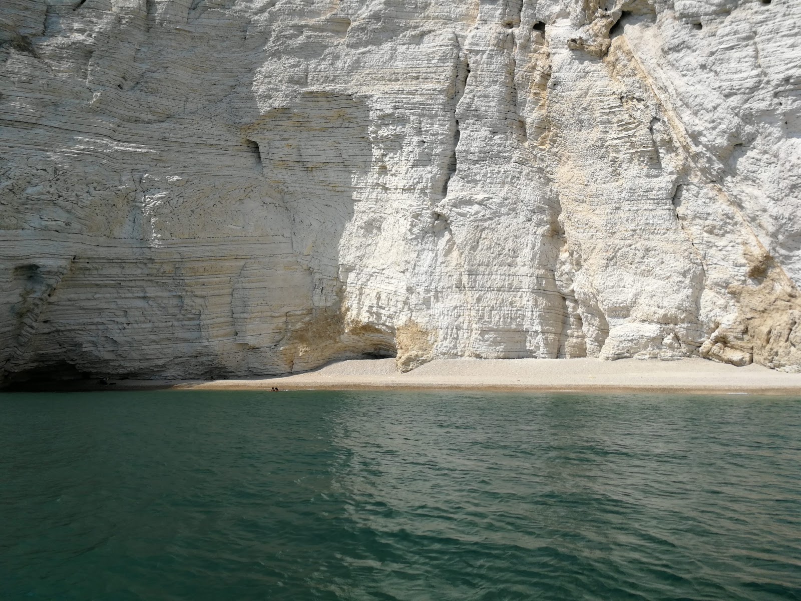 Spiaggia di Baia del Leone'in fotoğrafı vahşi alan