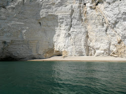 Spiaggia di Baia del Leone'in fotoğrafı vahşi alan