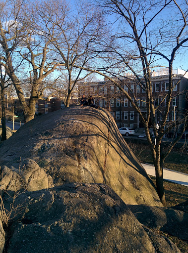 Park «Horatio Harris Park», reviews and photos, 85 Harold St, Boston, MA 02119, USA