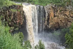 Trentham Falls, Coliban River image