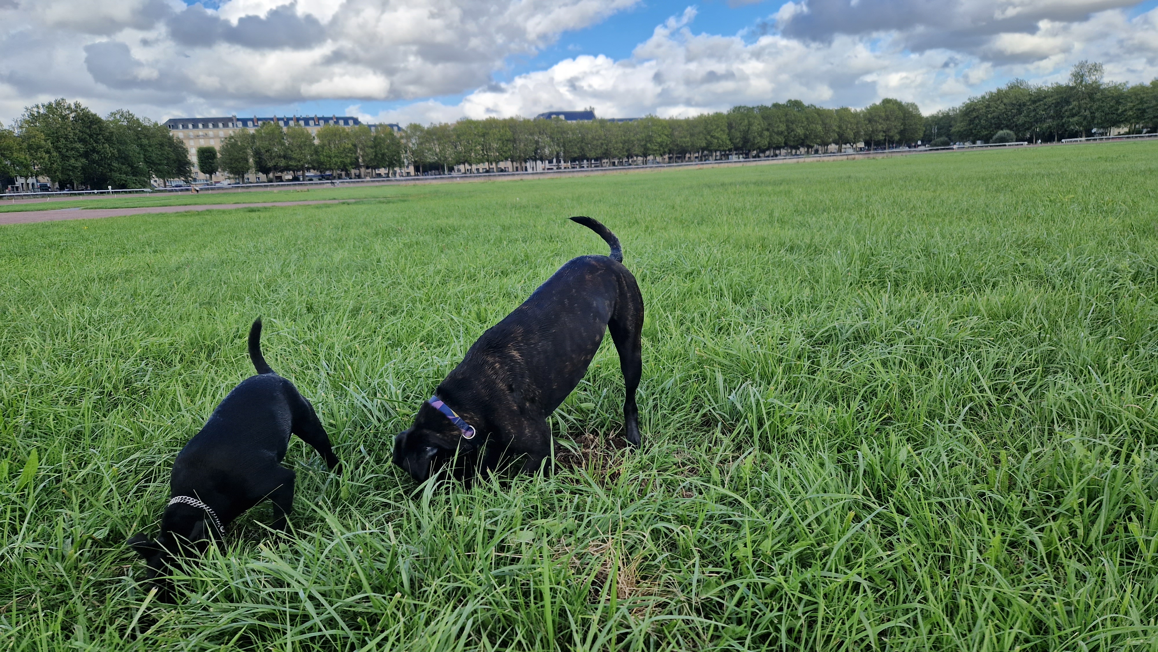 Photo n° 1 de l'avis de linda.o fait le 29/08/2023 à 17:14
