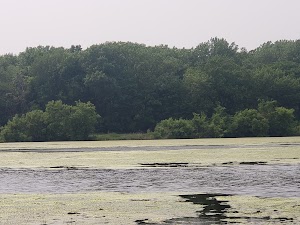 Oakhurst Forest Preserve - photo 90