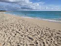 Sandy Point beach'in fotoğrafı geniş bir kıyı şeridi ile birlikte
