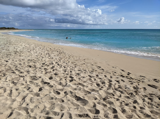 Sandy Point beach