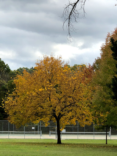 Park «Gateway Park», reviews and photos, 2500 N Jim Miller Rd, Dallas, TX 75227, USA