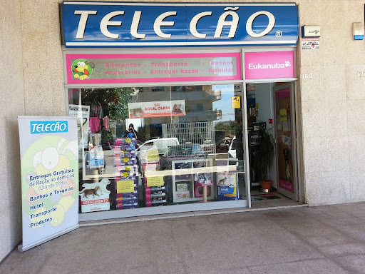 Telecão - Pet shop