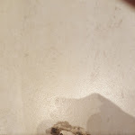 Photo n°2 de l'avis de Dominik.t fait le 17/05/2018 à 13:35 sur le  Dorisol Florasol Hotel à Funchal