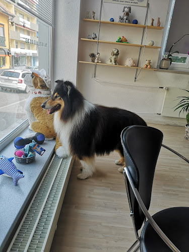 Opinii despre Hundepflegesalon Tobby în Grenchen - Friseursalon