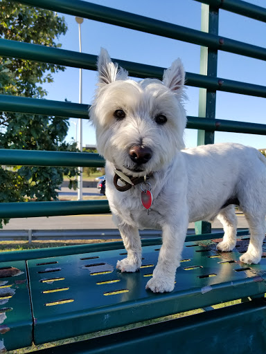 Park «Little Bay Park», reviews and photos, Cross Island Pkwy, Whitestone, NY 11357, USA