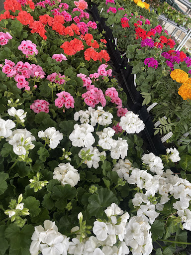 Grocery Store «Riccardos Market», reviews and photos, 1219 Wheeler Ave, Scranton, PA 18510, USA