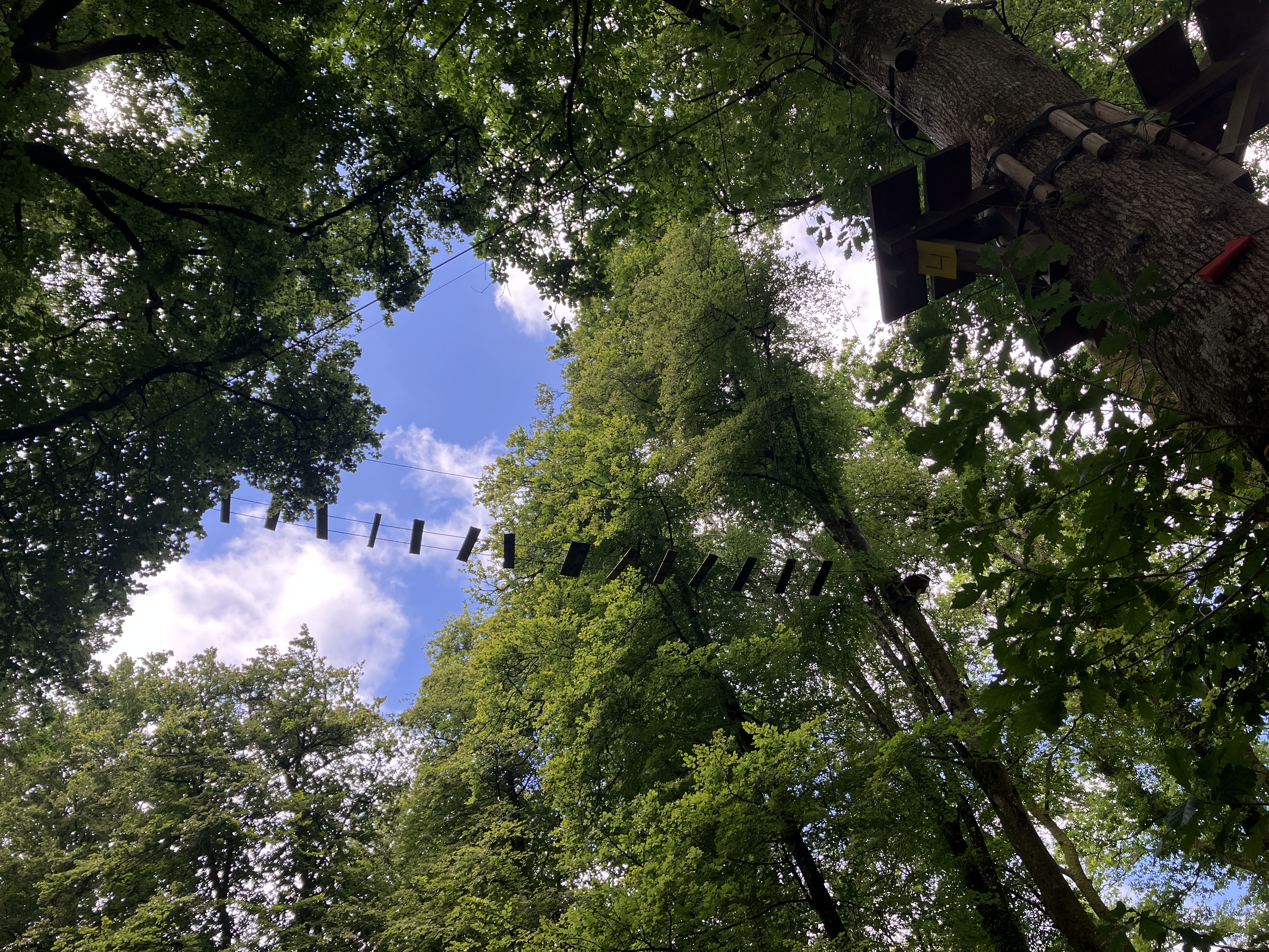 Photo n° 1 de l'avis de Guillaume.a fait le 02/07/2023 à 14:10