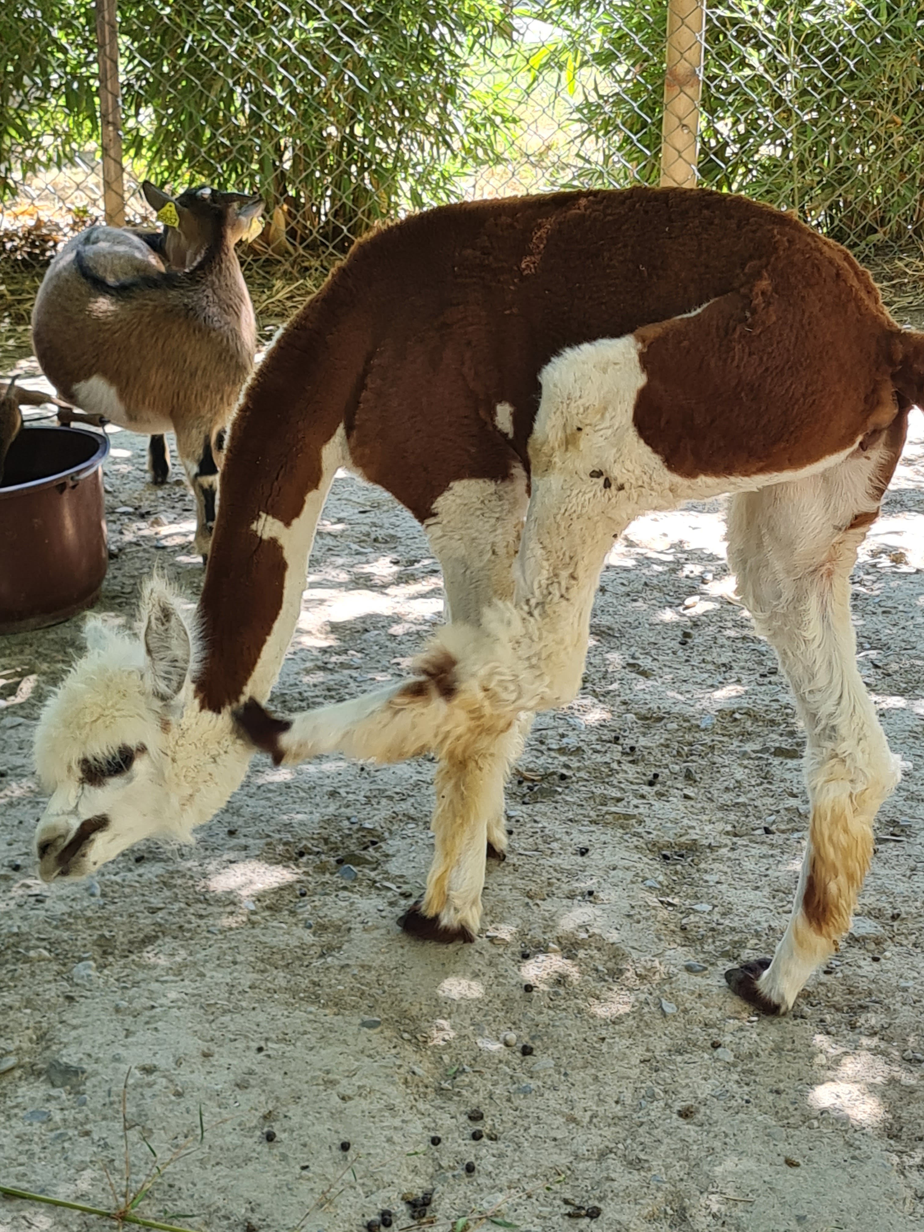 Photo n° 13 de l'avis de Marjo.e fait le 29/08/2021 à 18:20