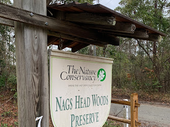 Nags Head Woods Preserve