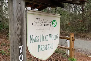 Nags Head Woods Preserve image