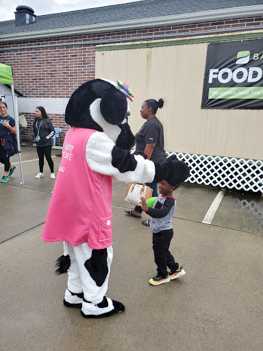 Auto Repair Shop «Christian Brothers Automotive New Tampa», reviews and photos, 20303 Trout Creek Dr, Tampa, FL 33647, USA