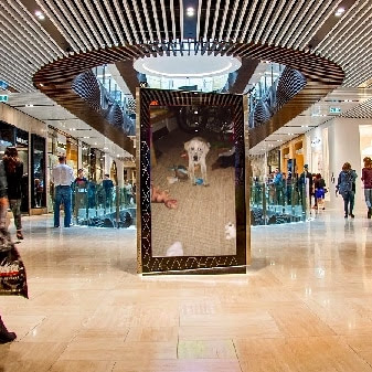 Automotive «Top Dead Center Motorcycles», reviews and photos, 1540 Pine St, Oxnard, CA 93030, USA