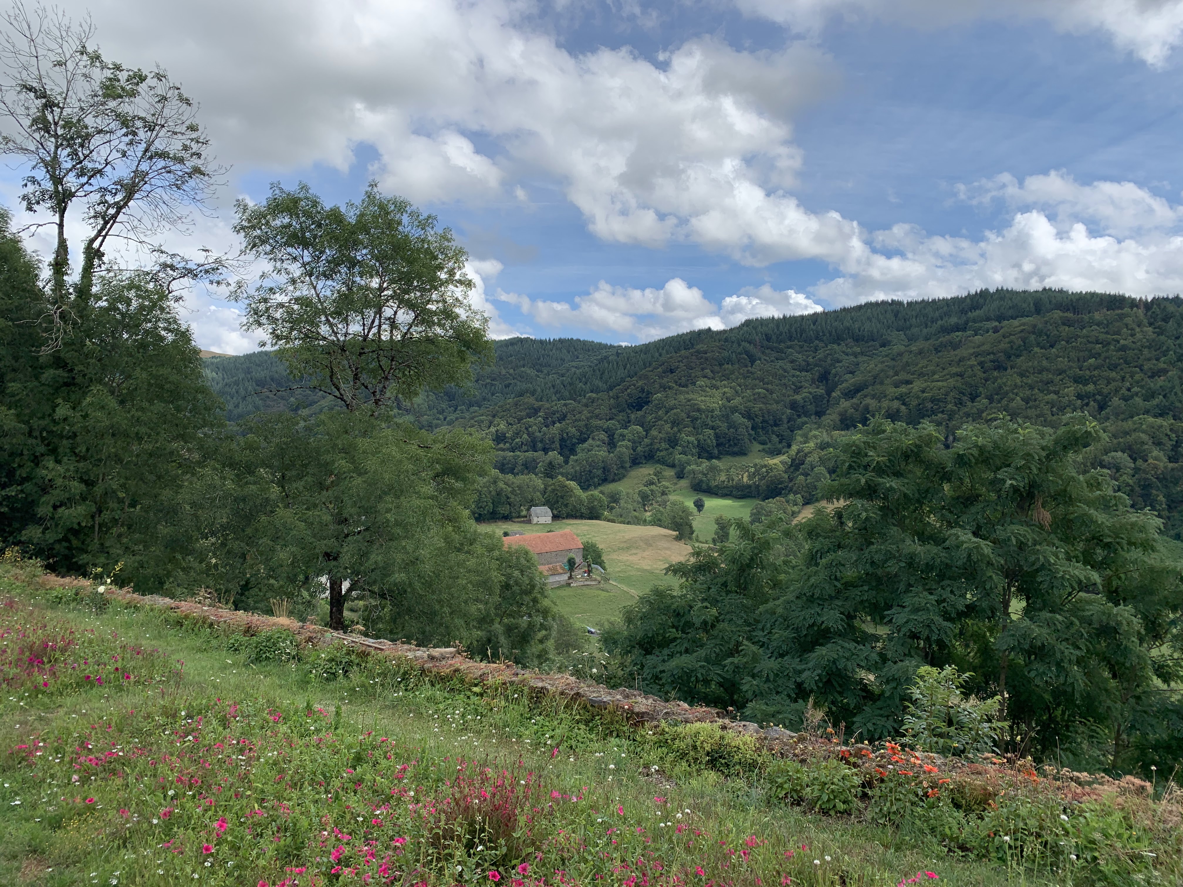 Photo n° 4 de l'avis de Yann.� fait le 08/08/2019 à 18:23