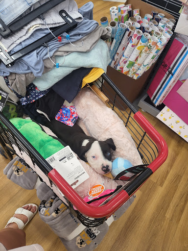 Department Store «T.J. Maxx», reviews and photos, 25406 104th Ave SE, Kent, WA 98031, USA