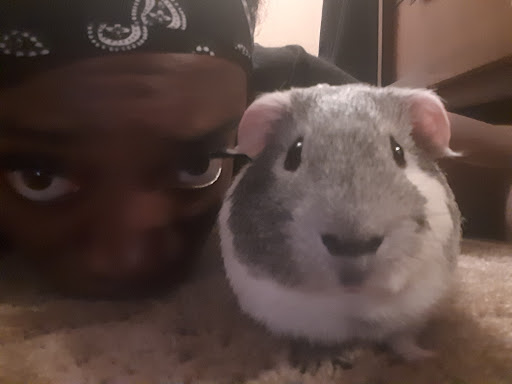 Pet Supply Store «Petco Animal Supplies», reviews and photos, 8551 S Howell Ave, Oak Creek, WI 53154, USA