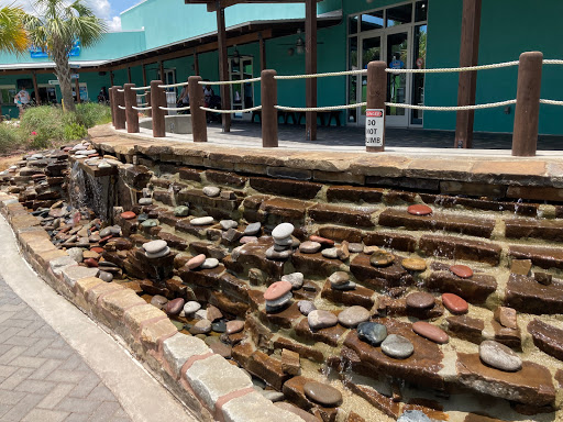 Educational Institution «Institute For Marine Mammal Studies», reviews and photos, 10801 Dolphin Ln, Gulfport, MS 39503, USA