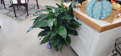 Florist «Lake City Florist», reviews and photos, 796 W Duval St, Lake City, FL 32055, USA