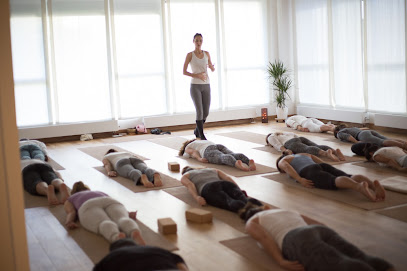 YOGA SHALA DONOSTIA