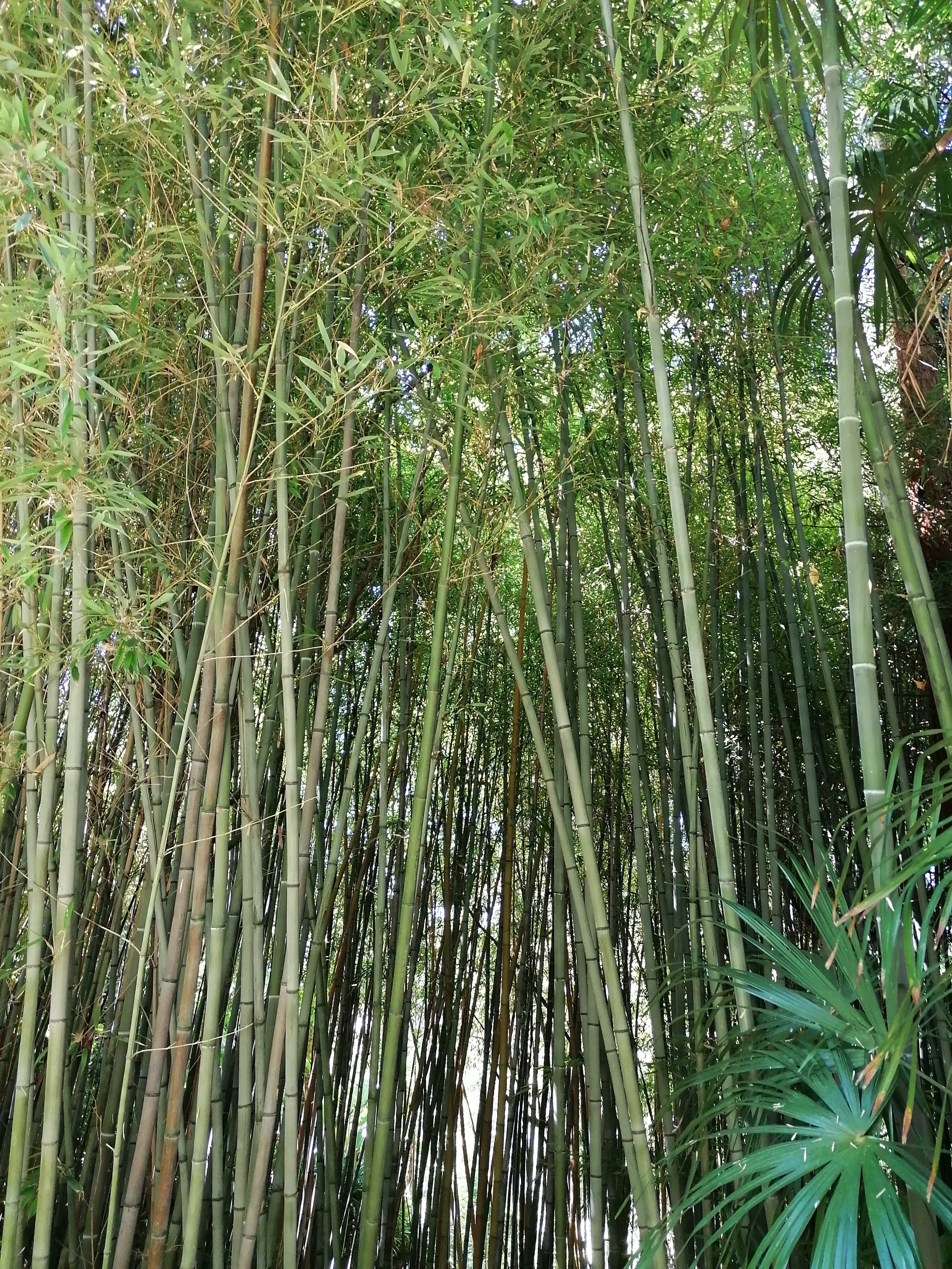Photo n° 6 de l'avis de S.o fait le 13/07/2022 à 14:14
