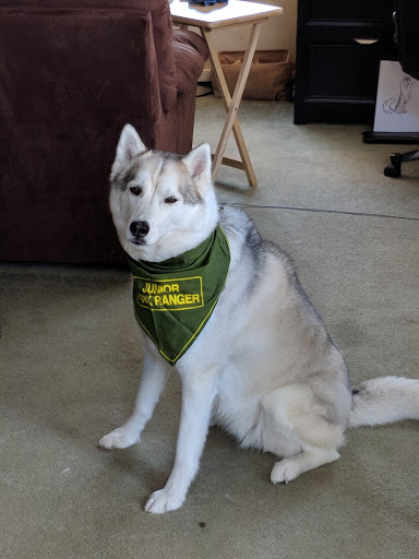 Pet Supply Store «All The Best Pet Care», reviews and photos, 690 NW Gilman Blvd, Issaquah, WA 98027, USA