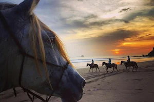 Big Sky Stables, Nicaragua image