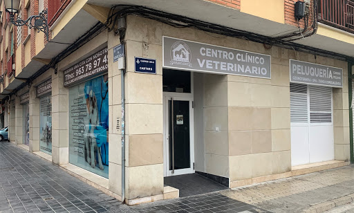 Adiestradores caninos y entrenadores de mascotas en València de 2024
