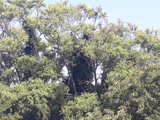 Nature Preserve «Nature Center of Cape May», reviews and photos, 1600 Delaware Ave, Cape May, NJ 08204, USA