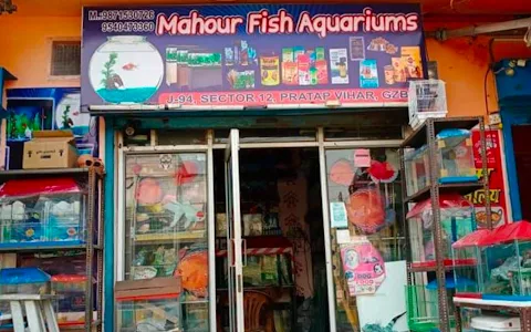 Mahour Fish Aquarium image