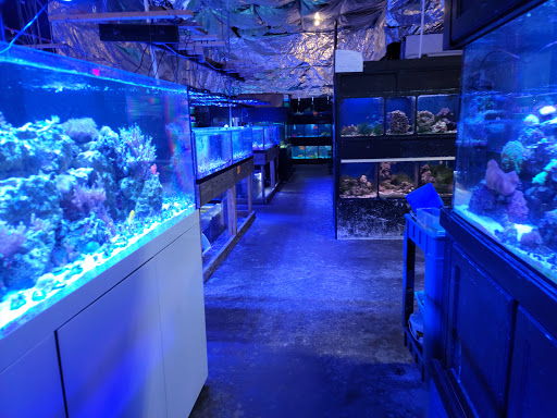 Fish store Dayton