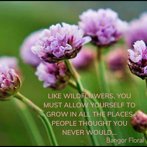 Florist «Bangor Floral», reviews and photos, 96 Center St, Bangor, ME 04401, USA