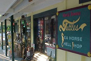 Tuttle's Seahorse Shell Shop image