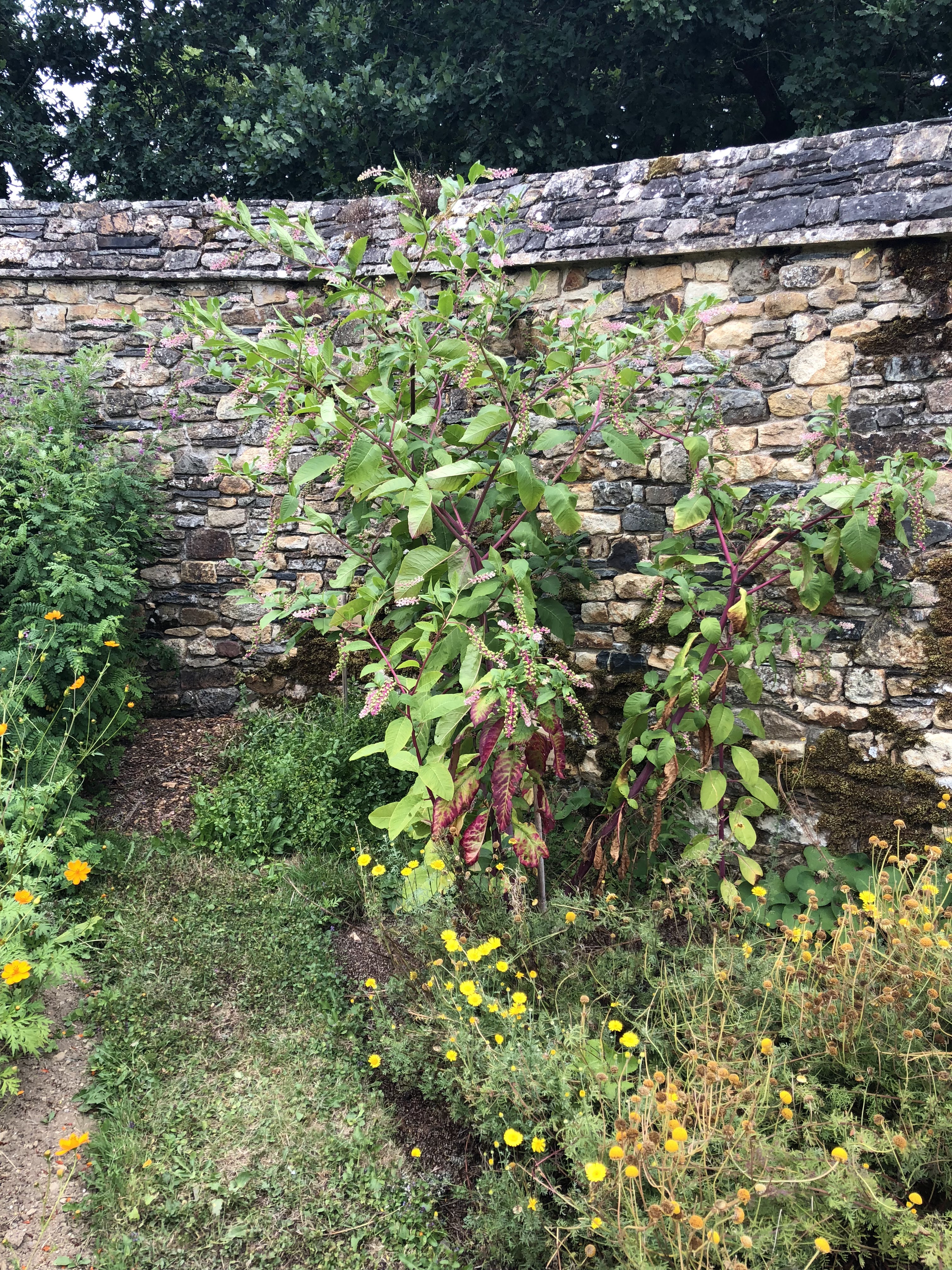 Photo n° 6 de l'avis de Alan.u fait le 28/07/2018 à 18:25