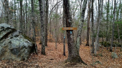 Nature Preserve «Wolf Rock Nature Preserve», reviews and photos, 251 Clover Mill Rd, Storrs, CT 06268, USA
