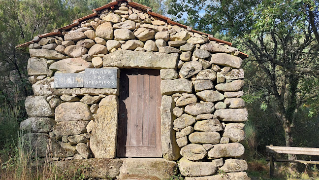 Bioparque de Carvalhais - Campo de futebol