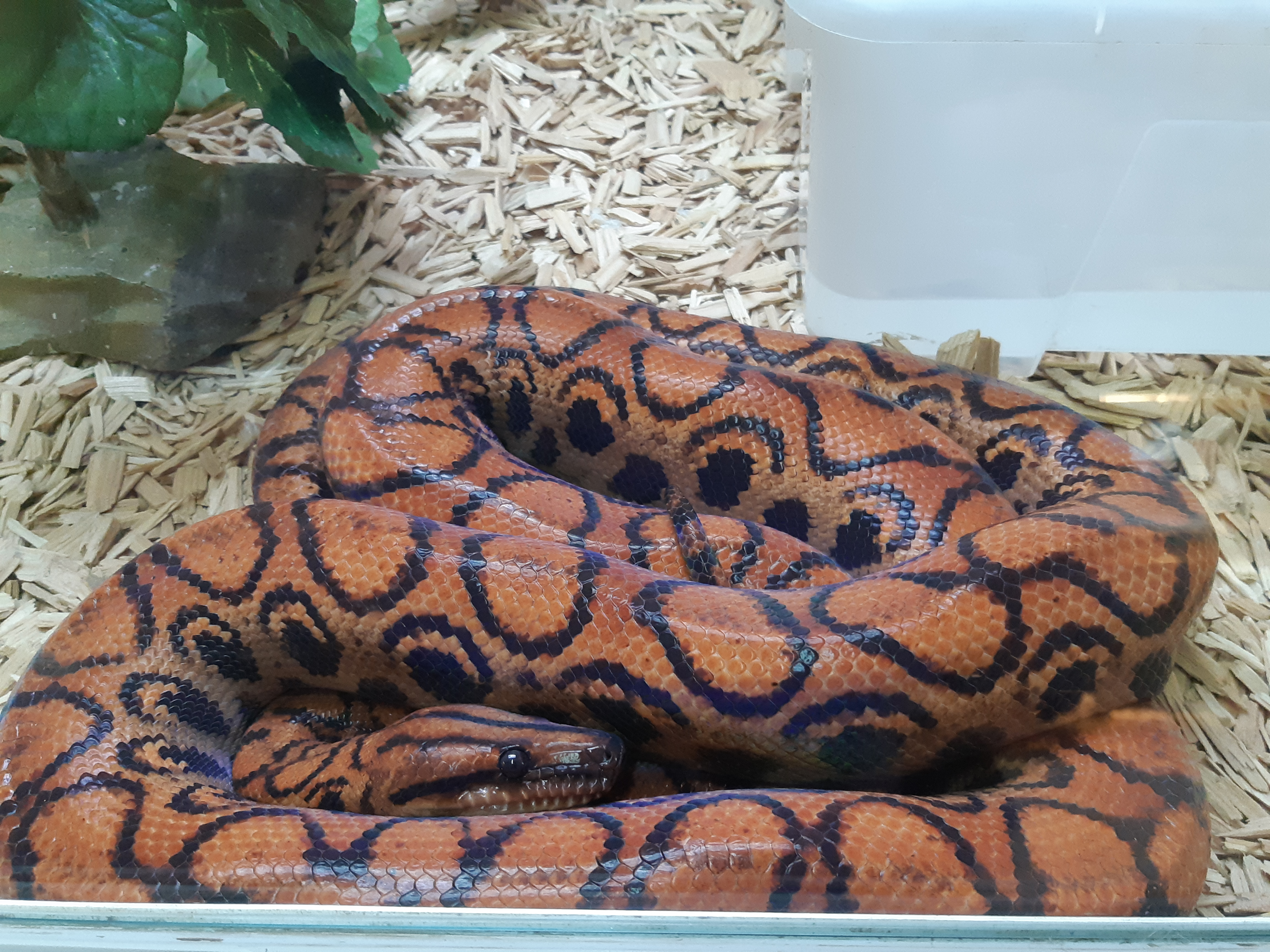 Photo n° 4 de l'avis de Stephanie.t fait le 30/08/2020 à 15:16