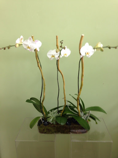 Florist «Aventura Florist», reviews and photos, 20445 Biscayne Blvd, Aventura, FL 33180, USA