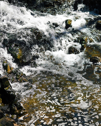 Nature Preserve «Flat Rock Brook Nature Center», reviews and photos, 443 Van Nostrand Ave, Englewood, NJ 07631, USA