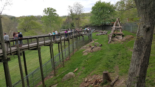 Zoo «Friends of WNC Nature Center», reviews and photos, 72 Gashes Creek Rd, Asheville, NC 28805, USA