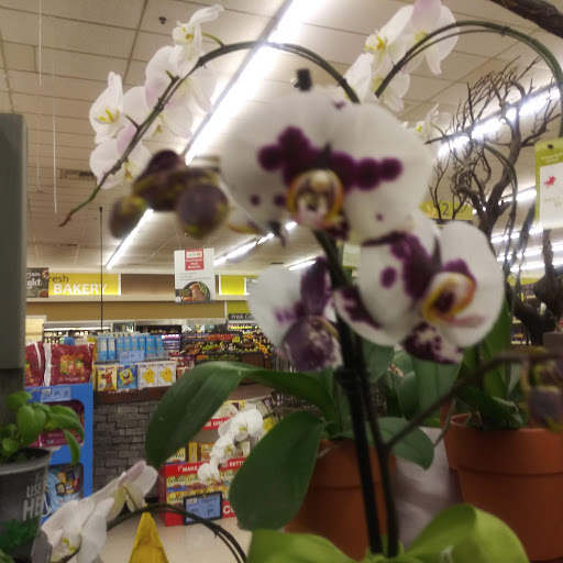 Albertsons image